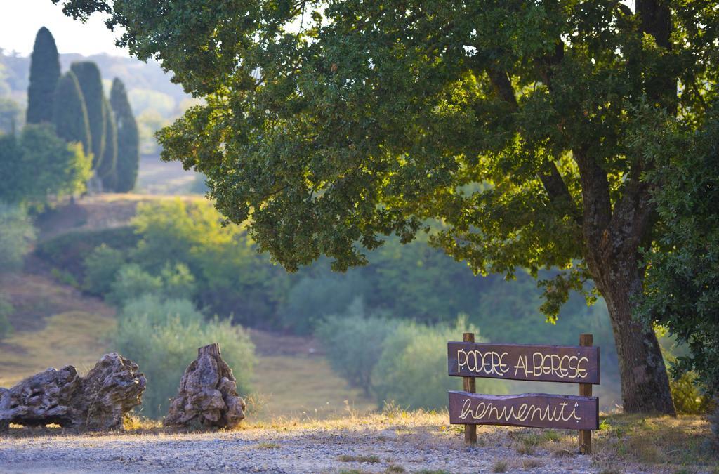 Agriturismo Podere Alberese Asciano Exteriér fotografie