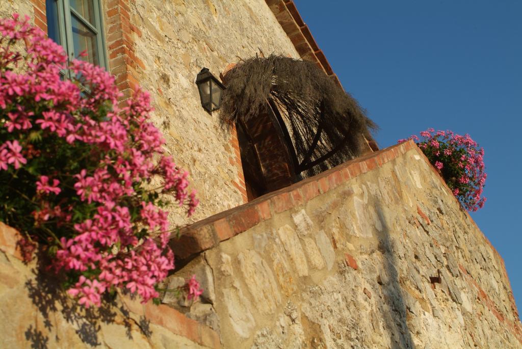 Agriturismo Podere Alberese Asciano Exteriér fotografie